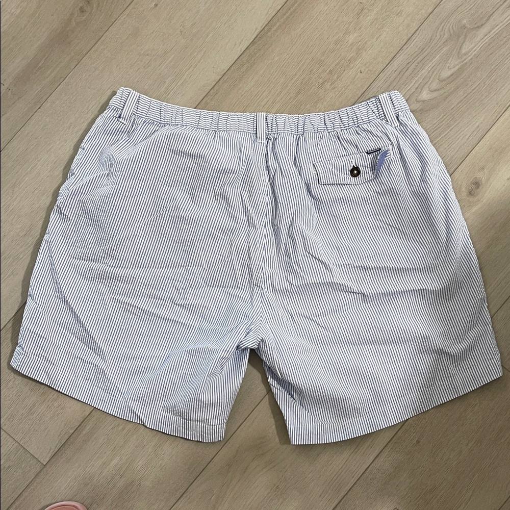 Chubbies  Blue and White Shorts